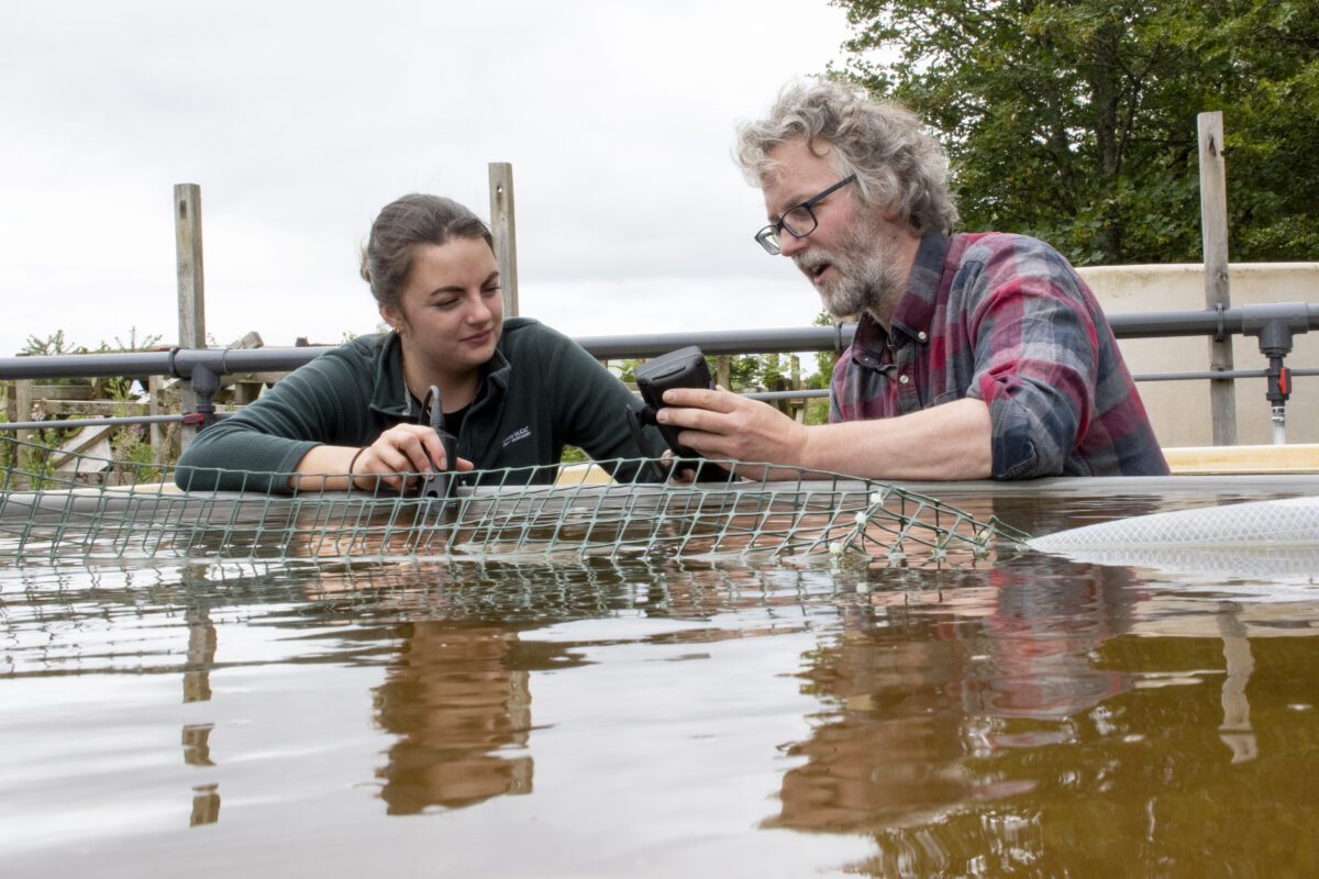 Male and female aquaculture technicians doing water reading