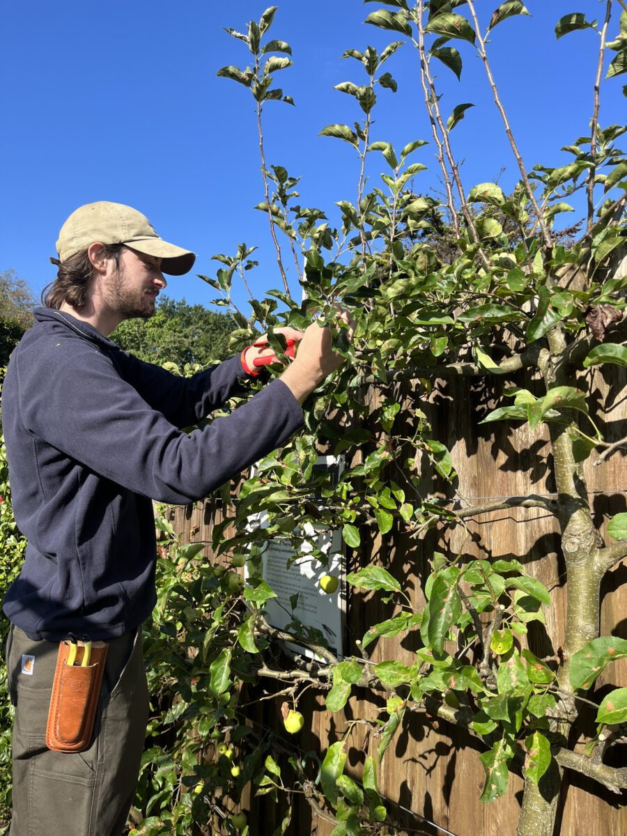 Charlie pruning some shrubbery